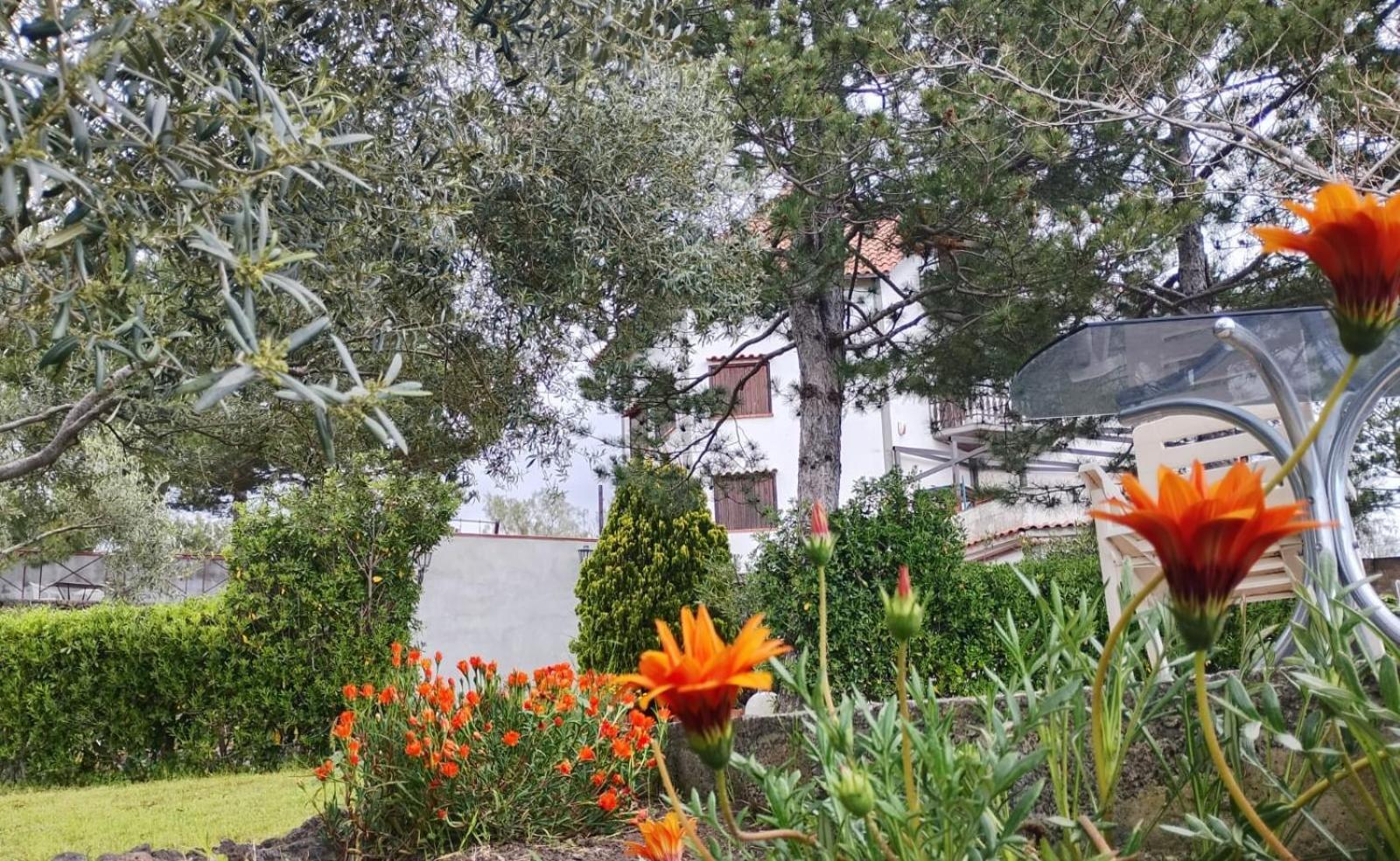 Villa Joele Nicolosi Bagian luar foto